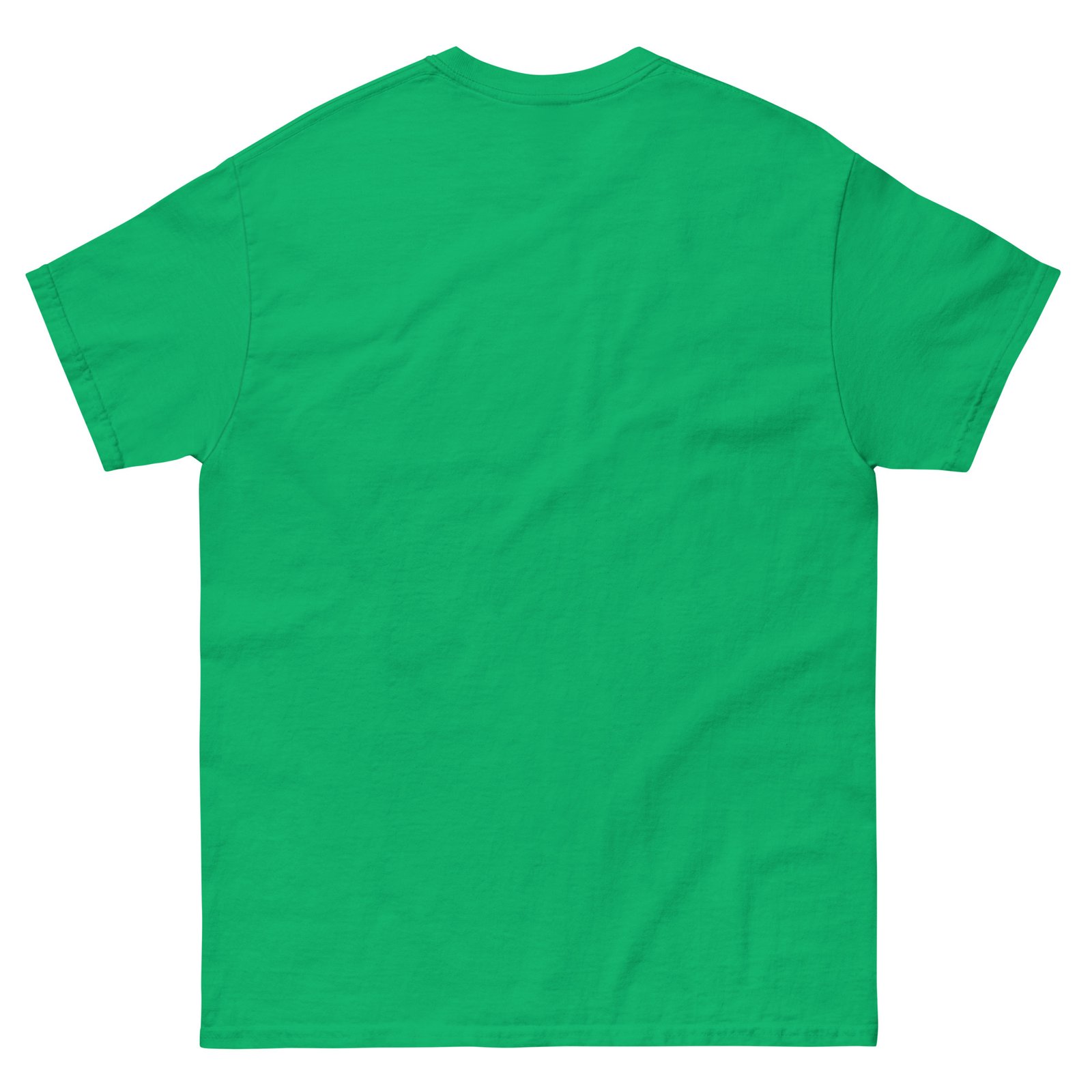 unisex-classic-tee-irish-green-back-66c0b74ec2e9a.jpg